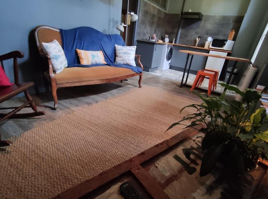 Studio 1 Chambre Ideal Salaries Nomades 蒙托邦 外观 照片